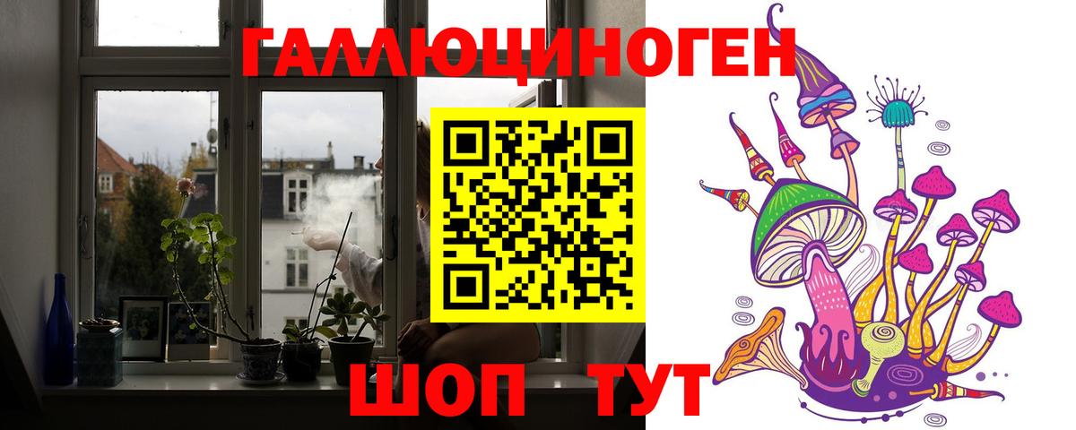 Лесной  Псилоцибиновые грибы Cubensis  Вход с VPN 