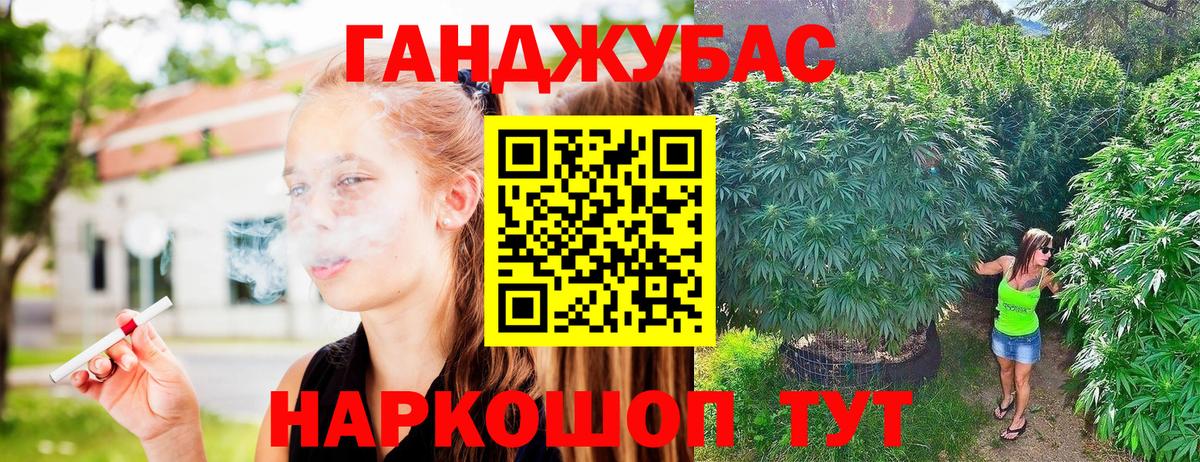 Шишки марихуана ГИДРОПОН  Марихуана сатива  Лесной  Бошки Шишки Bruce Banner  Каннабис план  Вход с VPN 